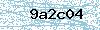 Code de sécurité